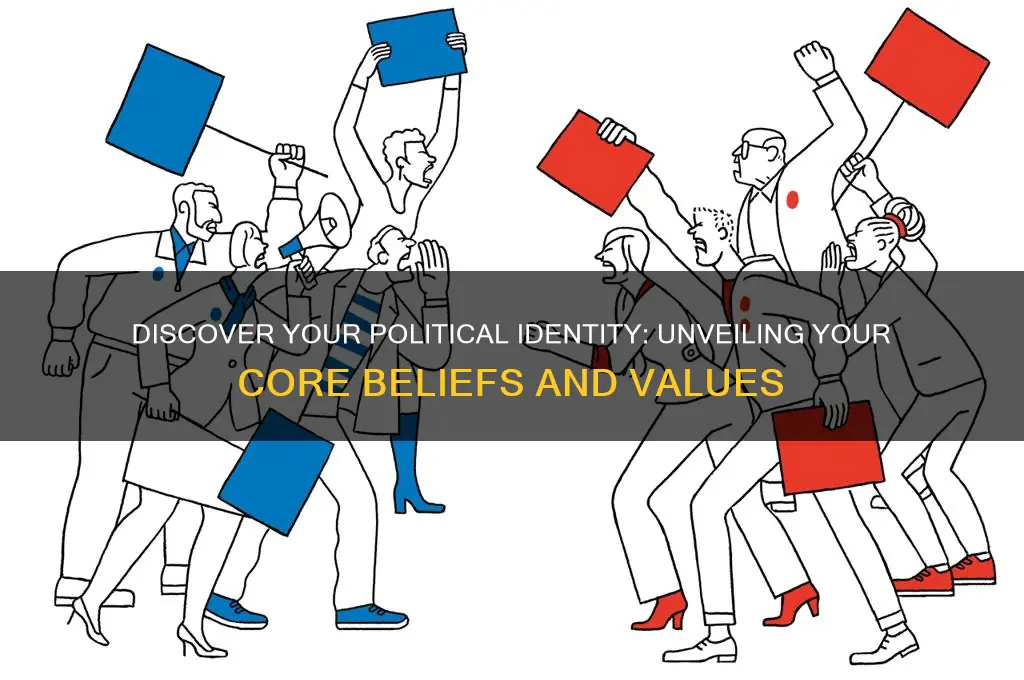 what political agenda am i