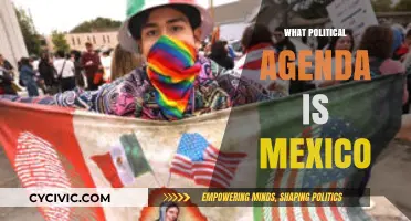 Mexico's Political Agenda: Priorities, Challenges, and Future Directions Explored