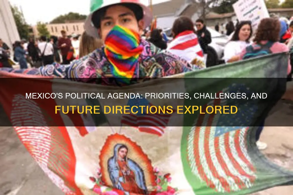 what political agenda is mexico