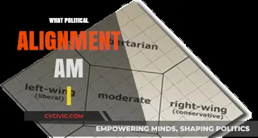 Discover Your Political Alignment: A Guide to Understanding Your Beliefs