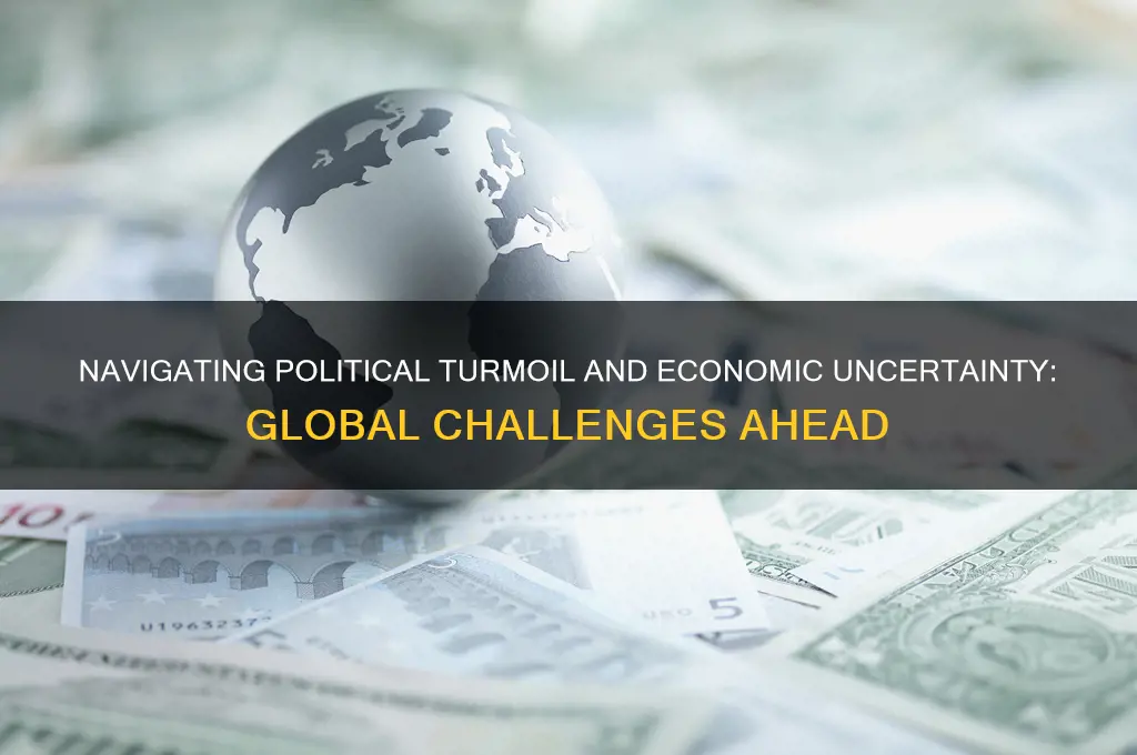 what political and economic challenges