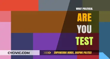 Discover Your Political Identity: Take the 'What Political Are You' Test