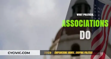 Understanding Political Associations: Roles, Functions, and Societal Impact Explained