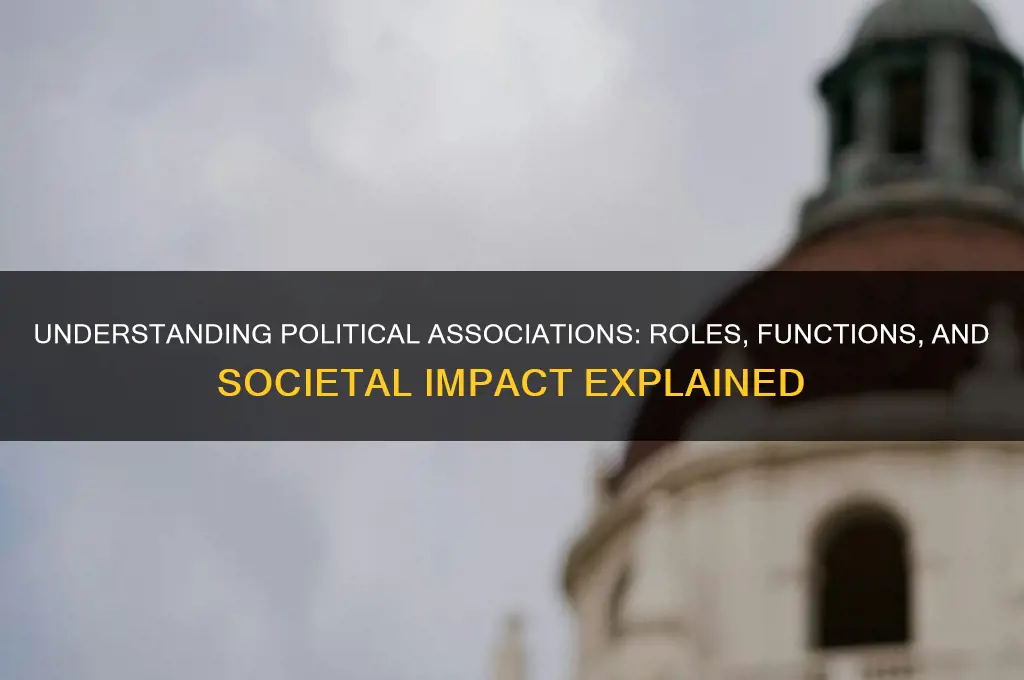 what political associations do