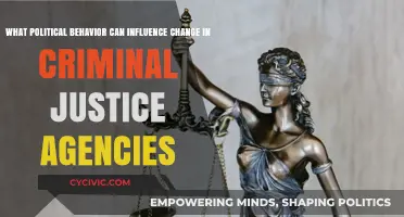 Catalyzing Reform: Political Strategies to Transform Criminal Justice Agencies