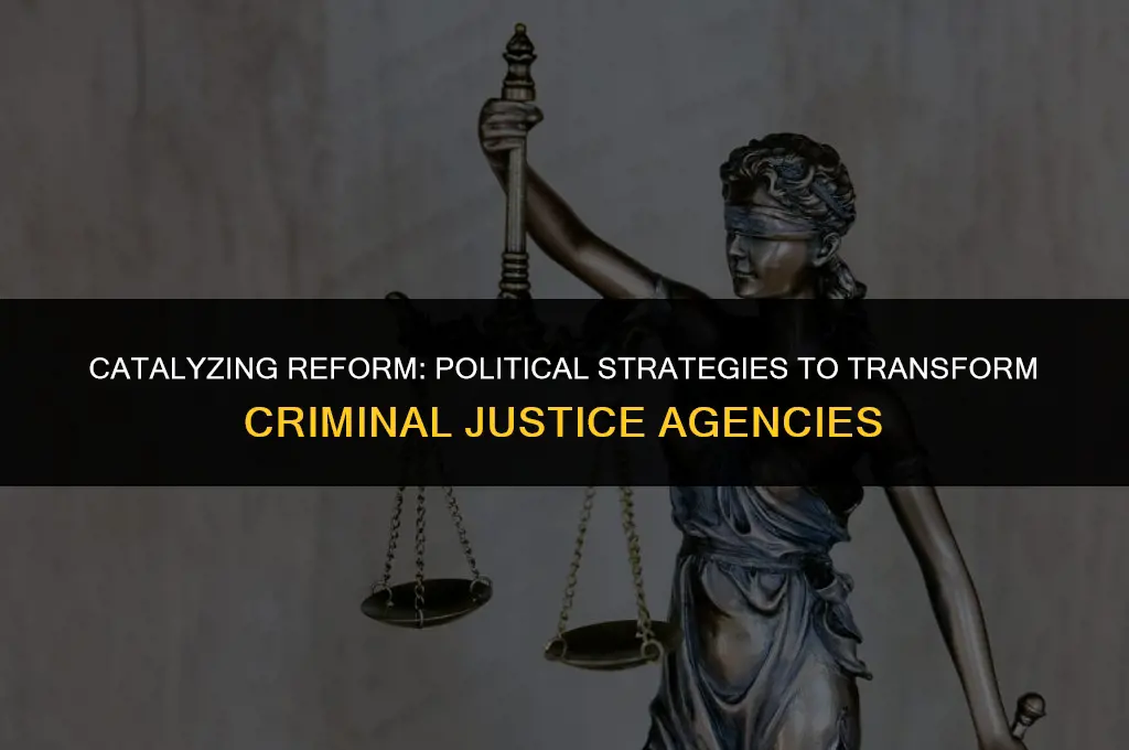 what political behavior can influence change in criminal justice agencies