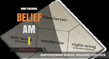 Discover Your Political Identity: Uncover Your Core Beliefs and Values
