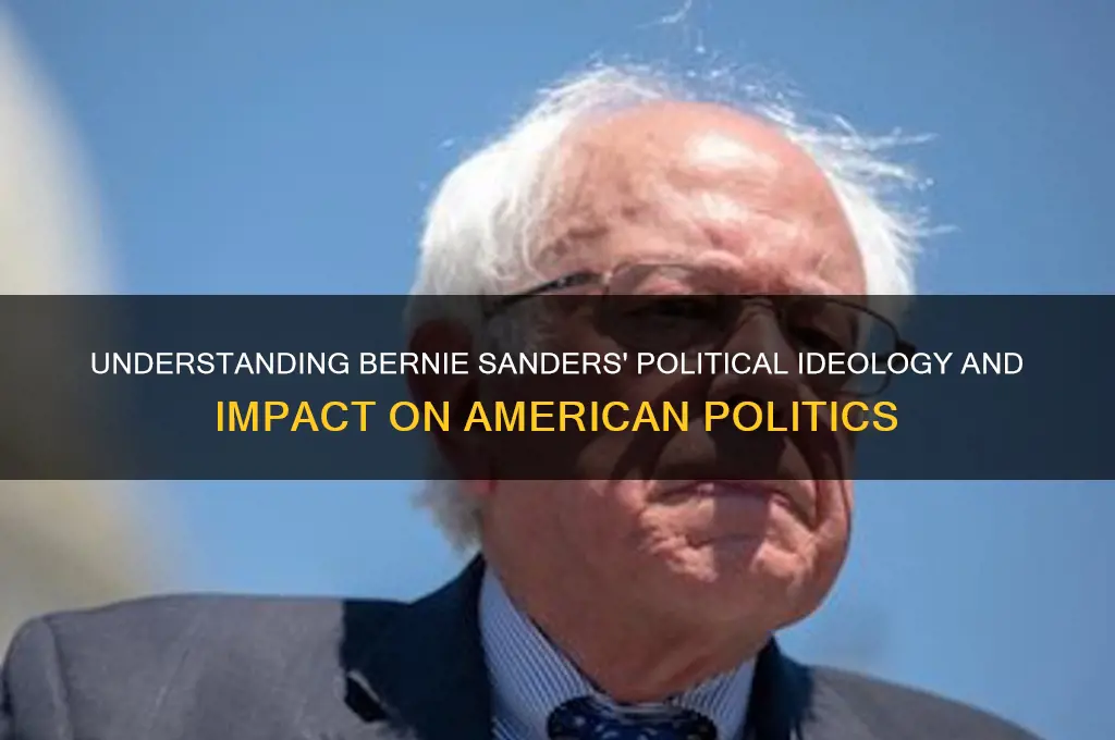 what political bernie sanders