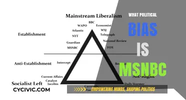 MSNBC's Political Bias: Liberal Slant or Balanced Reporting?