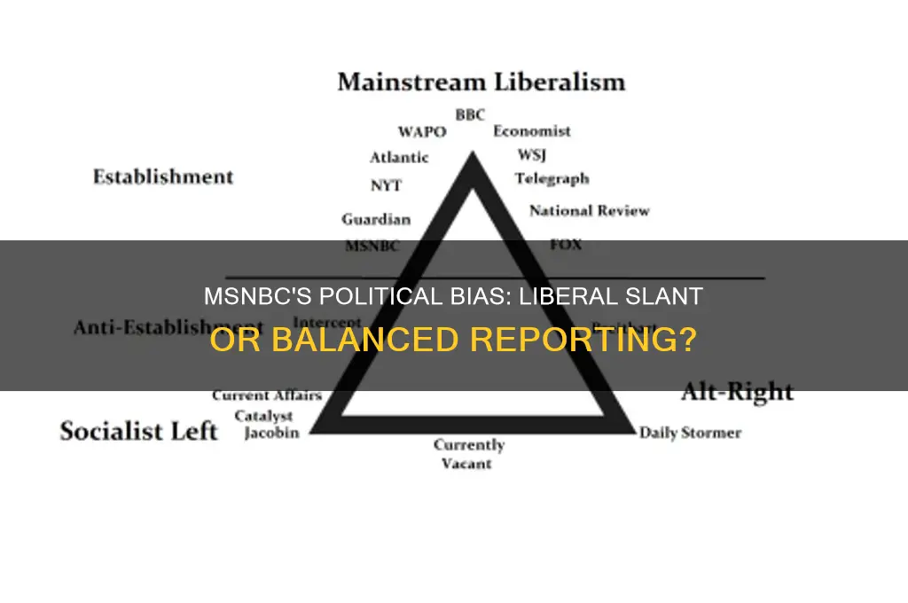 what political bias is msnbc