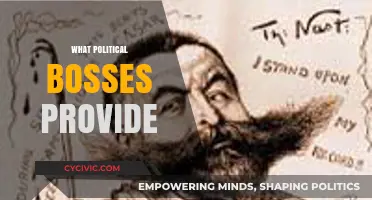 What Political Bosses Provide: Power, Patronage, and Influence Explained