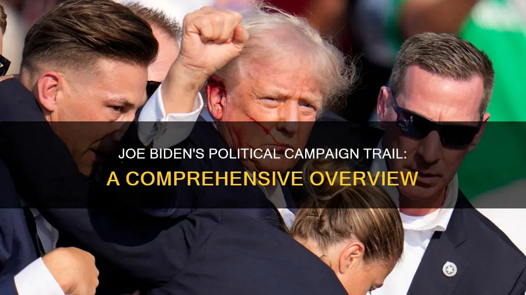 what political campaigns has joe biden run in