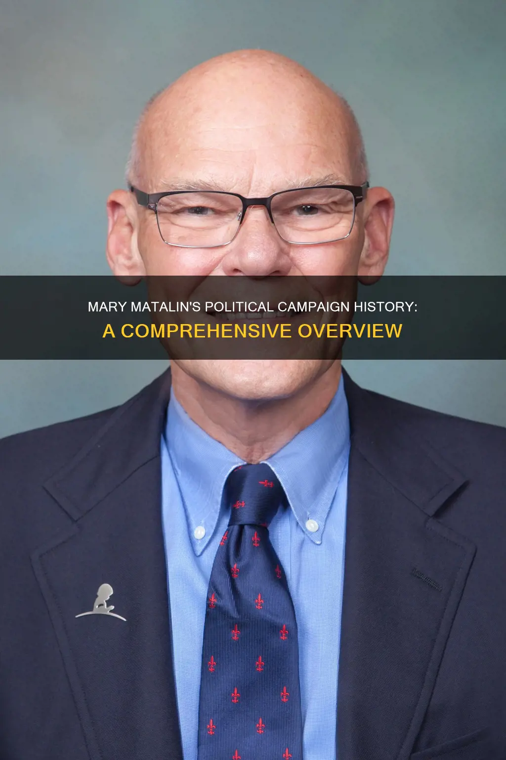 what political campaigns has mary matalin worked on