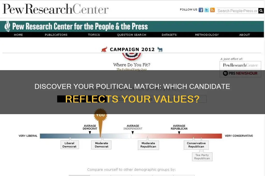 what political candidate are you