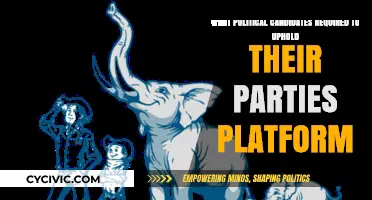 Upholding Party Platforms: Essential Responsibilities of Political Candidates