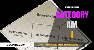 Discover Your Political Identity: Unveiling Your Ideological Category