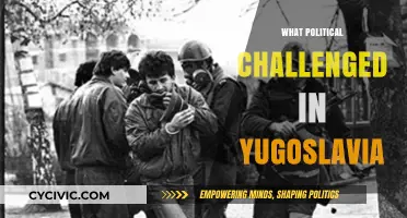 Yugoslavia's Political Struggles: Ethnic Tensions, Nationalism, and State Collapse