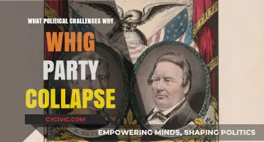 Whig Party's Collapse: Key Political Challenges and Internal Struggles