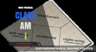 Discover Your Political Class: A Comprehensive Self-Assessment Guide