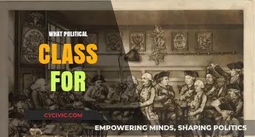 Understanding the Role and Purpose of the Political Class in Society