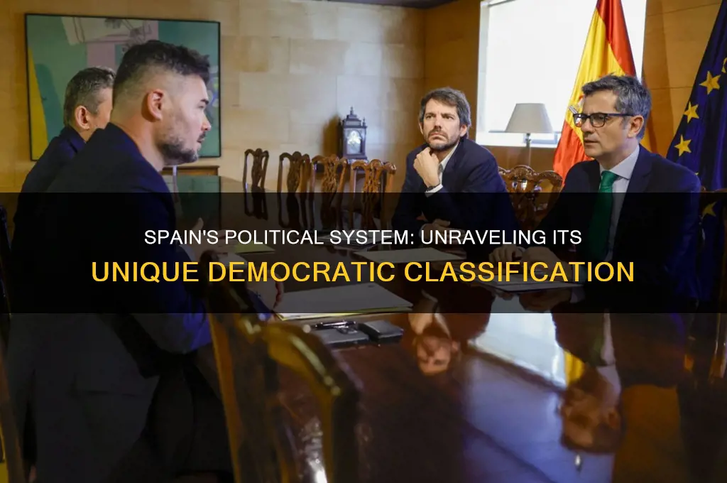 what political classification is spain