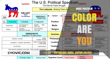 Discover Your Political Color: Unveiling Your Ideological Spectrum