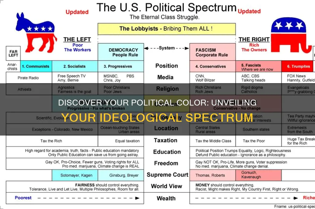 what political color are you
