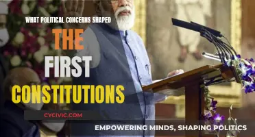 Foundations of Democracy: Political Concerns in Early Constitutions