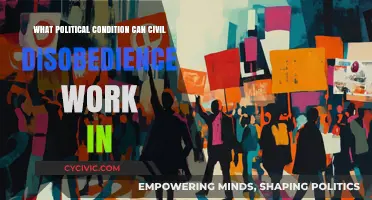 When Civil Disobedience Works: A Guide to Effective Political Conditions