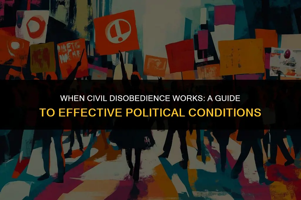 what political condition can civil disobedience work in