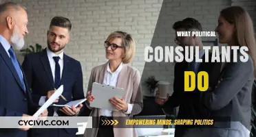 Unveiling the Role: What Political Consultants Do Behind the Scenes