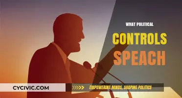 How Political Power Shapes Free Speech: Limits and Liberties Explored