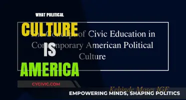 Understanding America's Political Culture: Values, Beliefs, and Civic Identity
