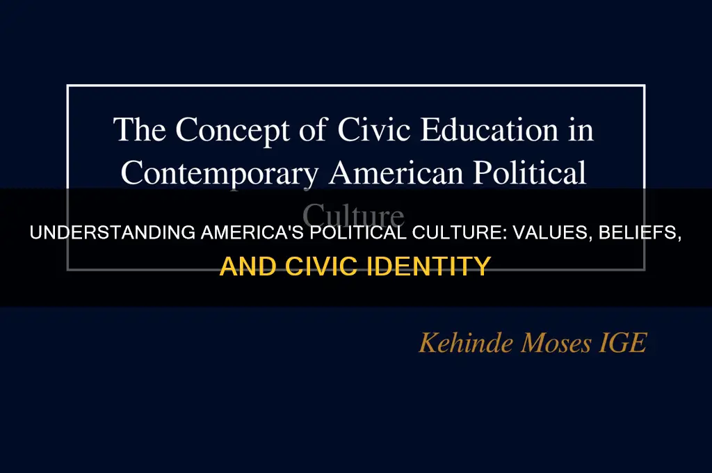 what political culture is america