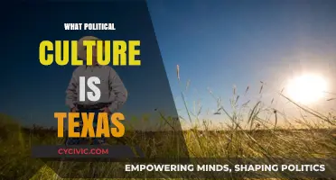 Texas Political Culture: Conservative Traditions, Diverse Influences, and Future Trends