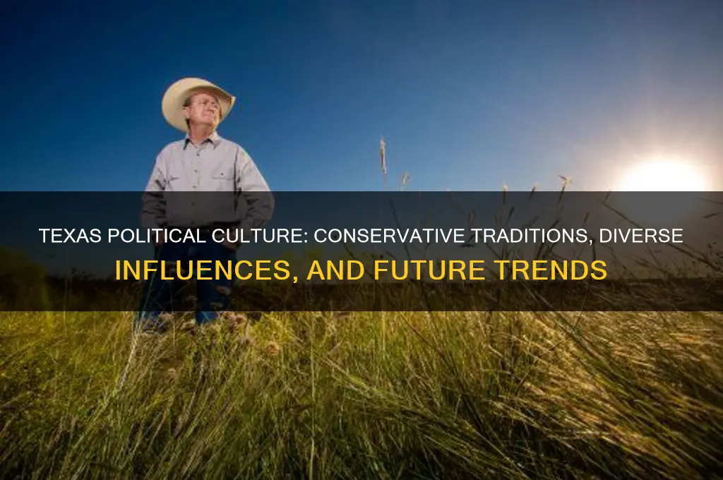 what political culture is texas
