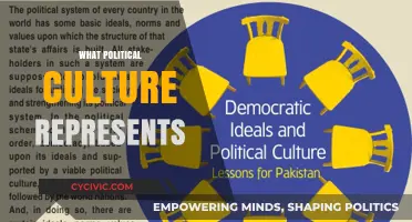 Understanding Political Culture: Values, Beliefs, and Civic Engagement Shaping Societies