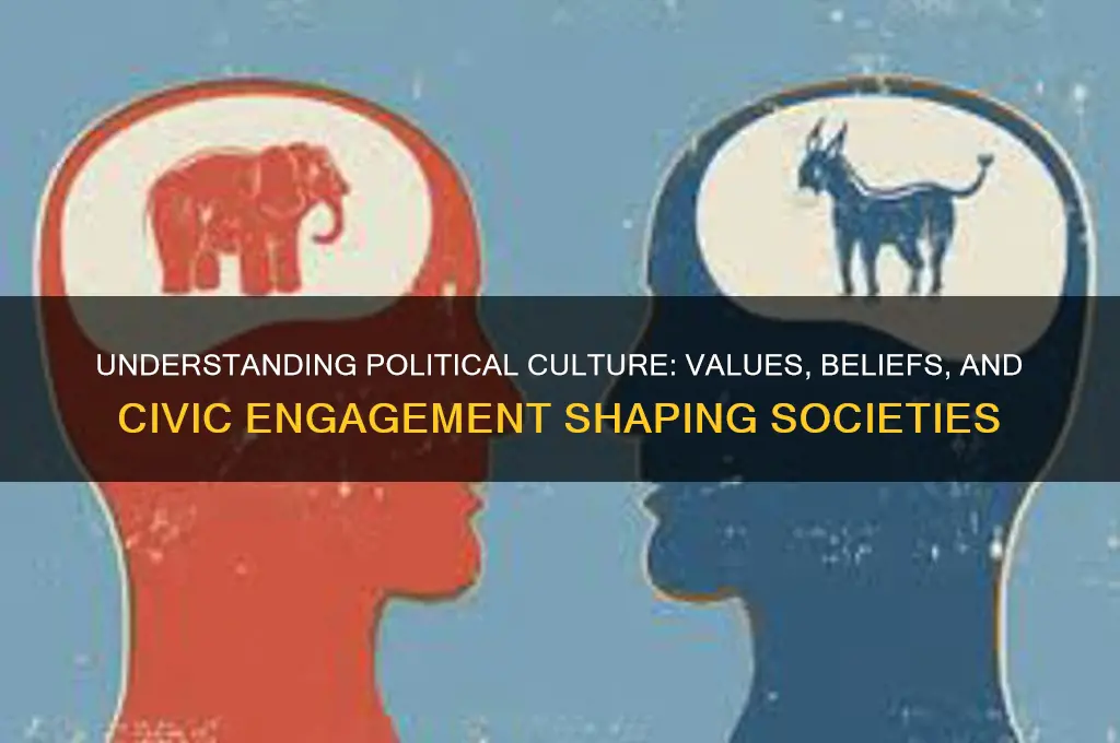 what political culture represents