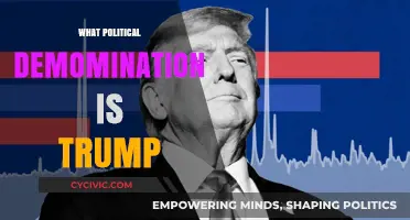 Unraveling Trump's Political Affiliation: Republican Roots and Ideological Shifts