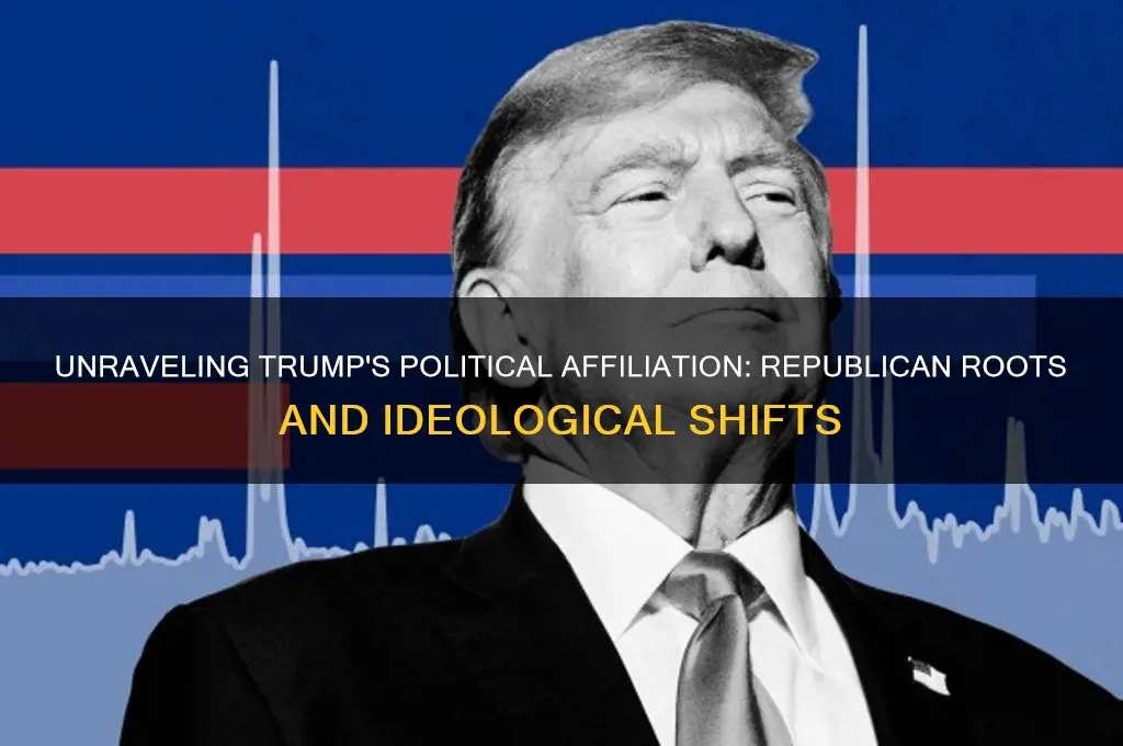 what political demomination is trump