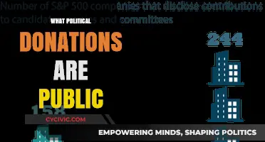 Unveiling Transparency: Which Political Donations Are Publicly Accessible?