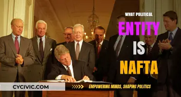 Understanding NAFTA: The Political Entity Shaping North American Trade