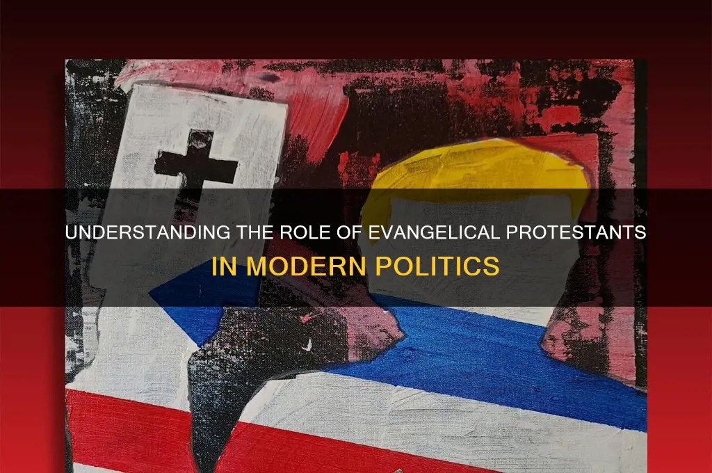 what political evangelical protestant