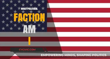 Discover Your Political Identity: Uncover Your Faction in Today's Landscape