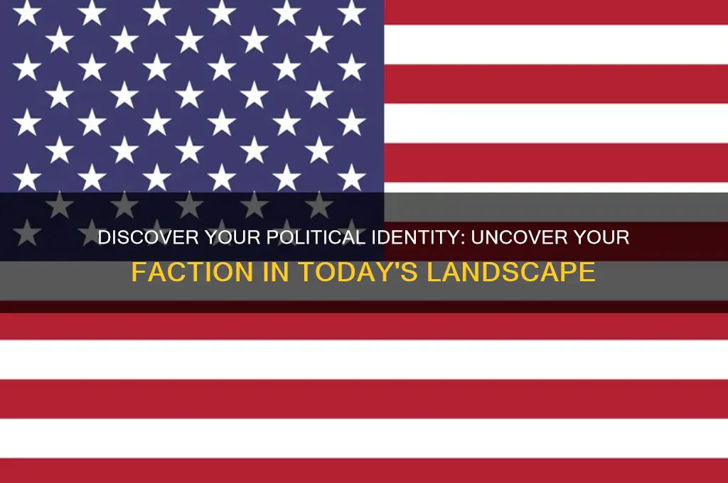 what political faction am i