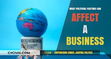 Navigating the Political Landscape: Key Factors Impacting Business Operations