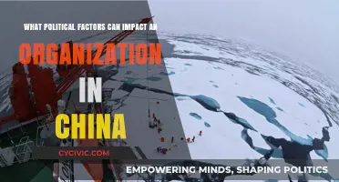 Navigating the Complex Political Landscape: How Organizations in China Adapt and Thrive