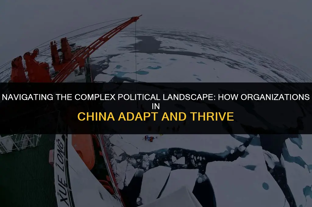 what political factors can impact an organization in china