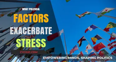 Political Tensions and Uncertainty: How They Fuel Stress in Society