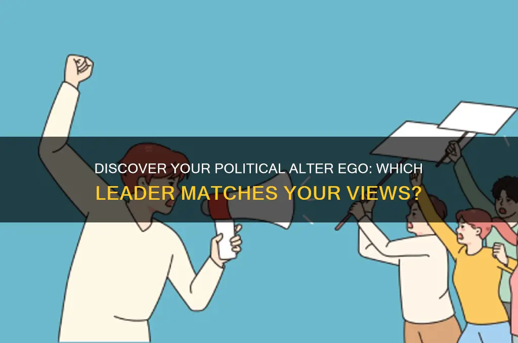 what political figure am i